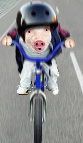 pic00153.gif
