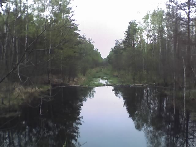 05-05-10_1207.jpg
