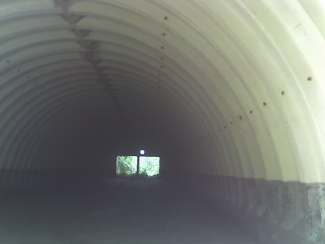 06-27-10_1550.jpg