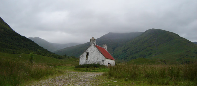 722004w.jpg