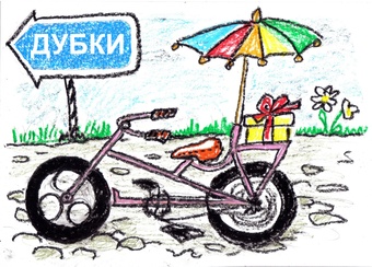 DenBike12.jpg