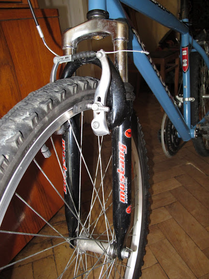 velik 003.jpg