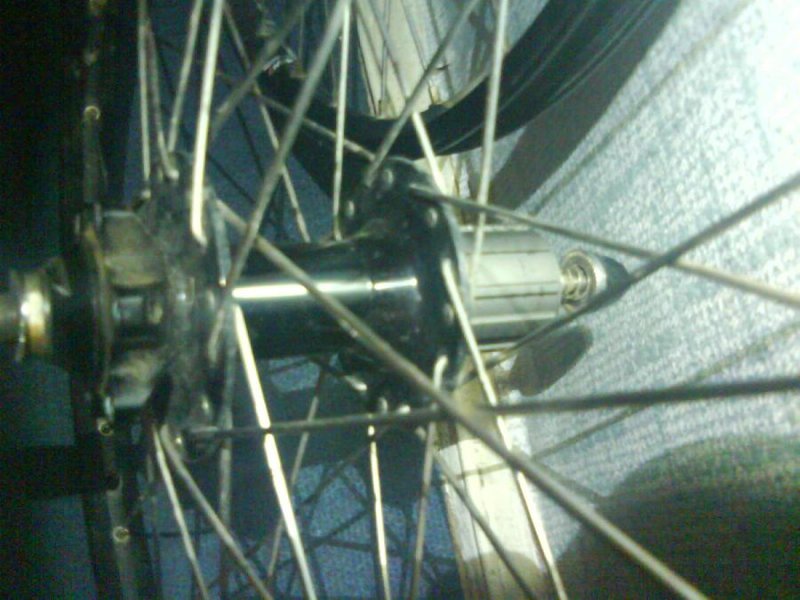 DSC00006.JPG