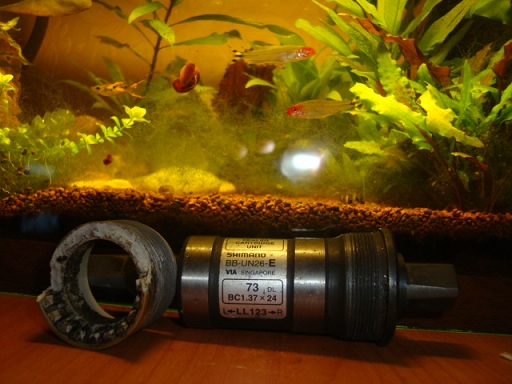 DSC095805555.jpg