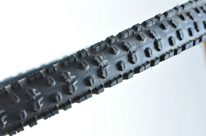 DSC_8668_min.gif