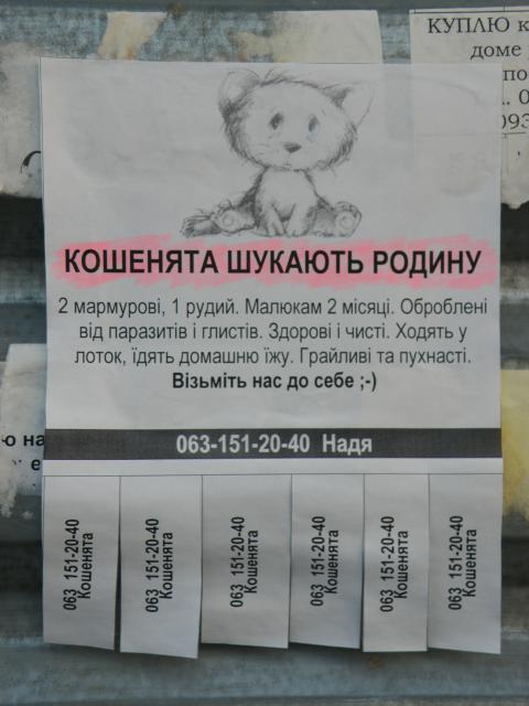620757_зменш.JPG