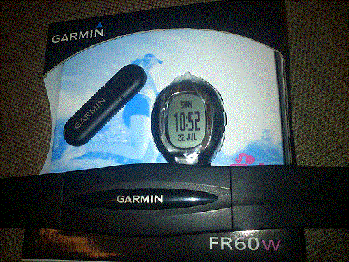 fr60w3.gif
