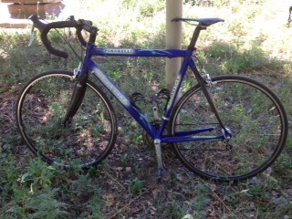 Pinarello small.JPG