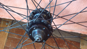 DSCF3769.JPG