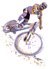 365426065.gif