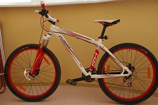 IMGP8382.JPG
