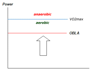 vo2max.gif