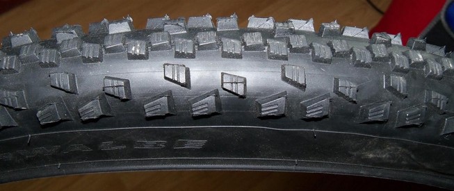 schwalbe_black_jack_real_foto_2.jpg
