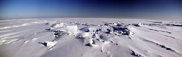 _pano2.jpg