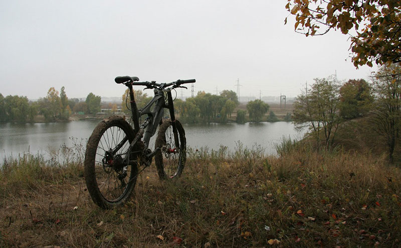 z_bf9522cd.jpg