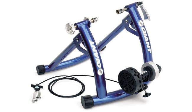 store_apendix_big8646_42616.jpg