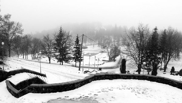 24-01-2009_02.jpg