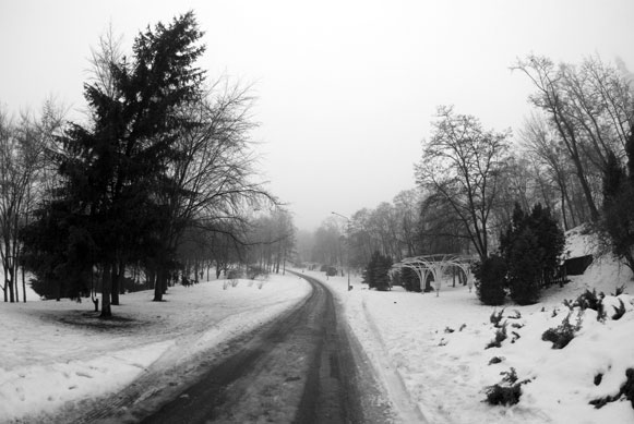 24-01-2009_06.jpg