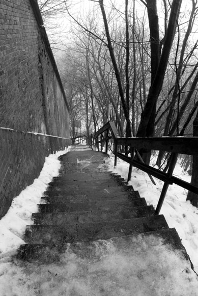 24-01-2009_13.jpg