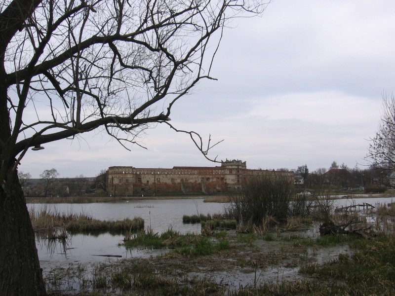 IMG_4223.JPG