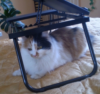 Копия 04.JPG