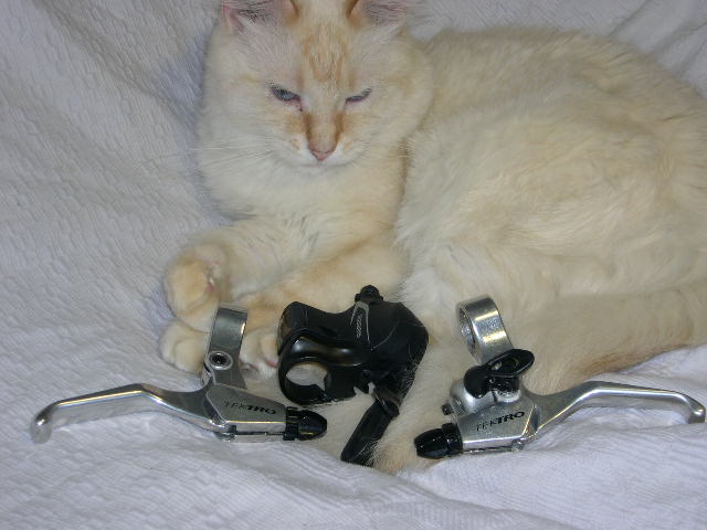 DSCN5628.JPG