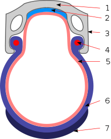 220px-Sezione_cerchione_bicicletta.svg.png