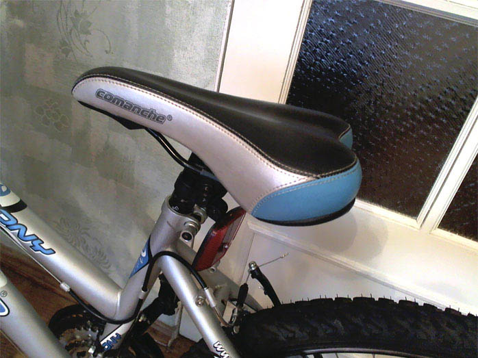 Picture 7.jpg