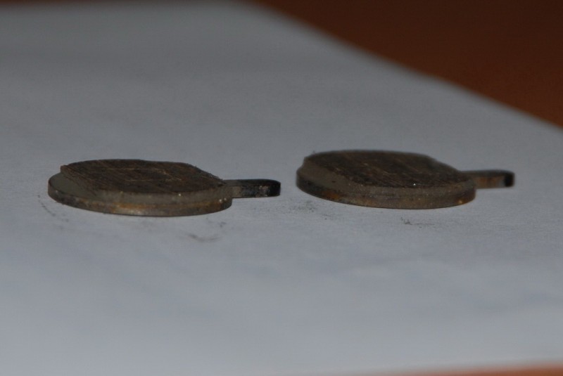 DSC_1372_resize.jpg