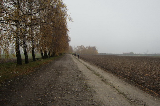 IMG_6490.JPG
