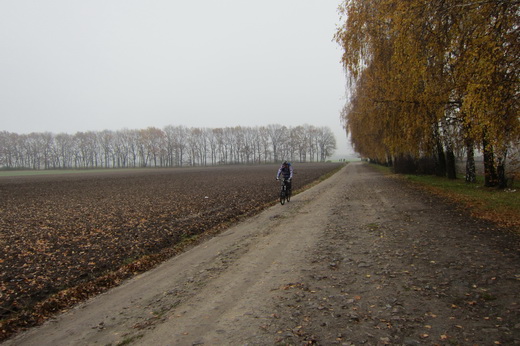 IMG_6493.JPG