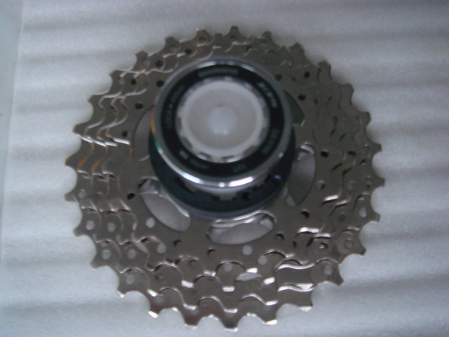 DSC07219.JPG