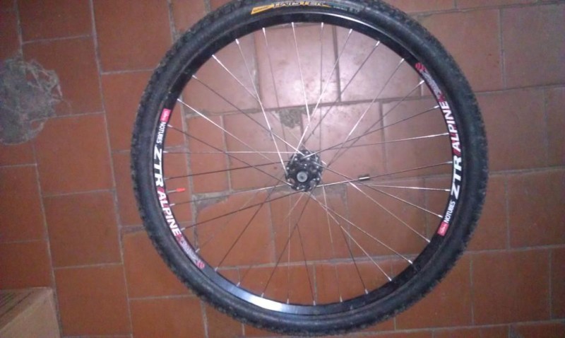 IMAG0289.jpg