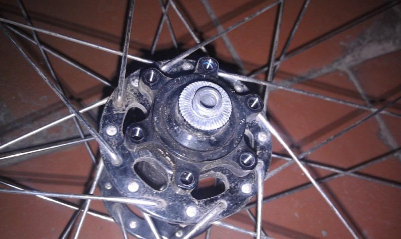 IMAG0290.jpg