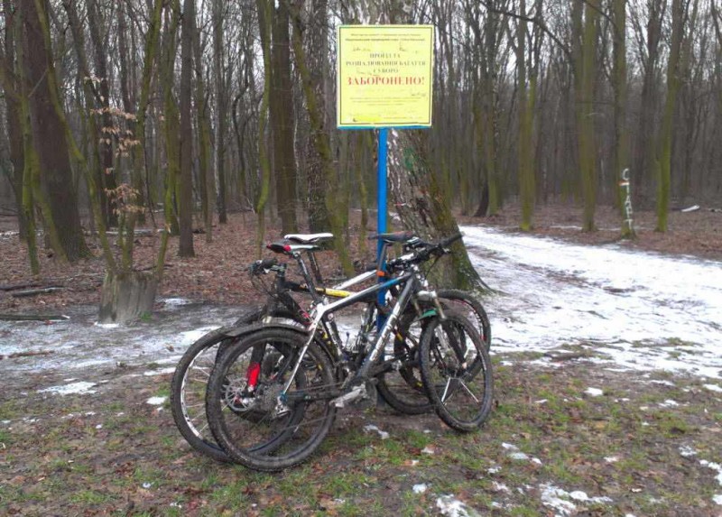 _IMG_20140102_133308.jpg