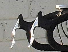 SDC13320.jpg