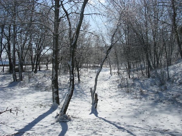IMG_3501.JPG