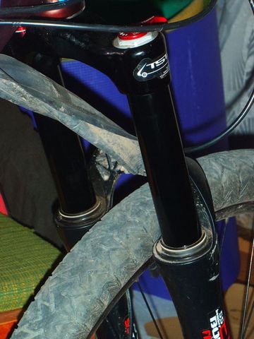 P3180179ss.jpg
