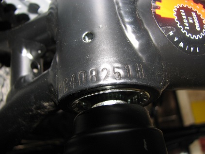 IMG_6440velo.jpg