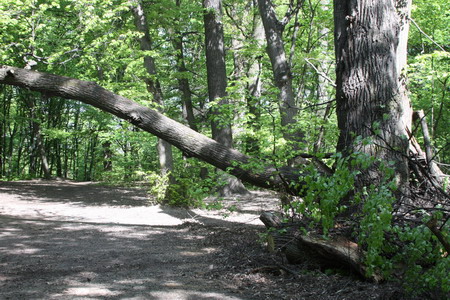 IMG_8362_.jpg