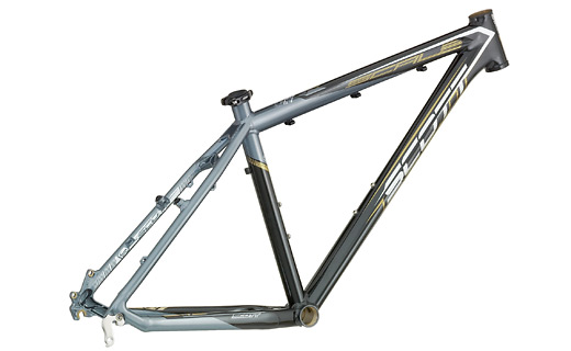 SCALE_40_frame_2009.jpg