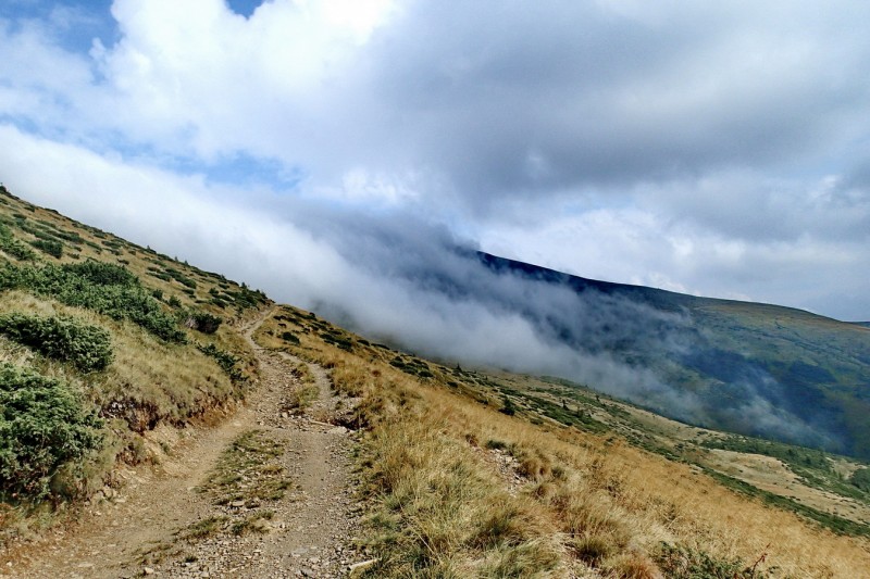 P8241287_resize.JPG
