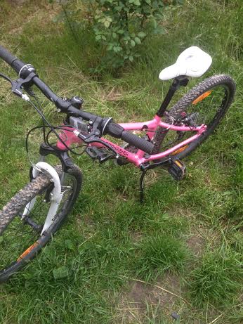 вело 1.jpg