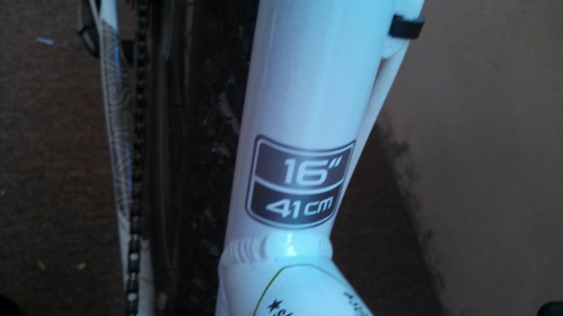 trek_skye_s_1.jpg