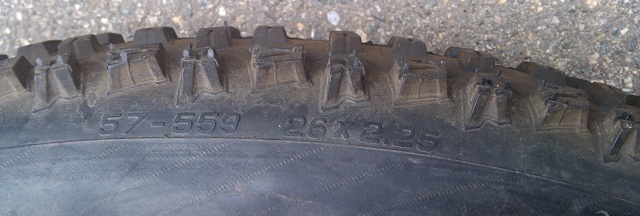 IMAG1516.jpg