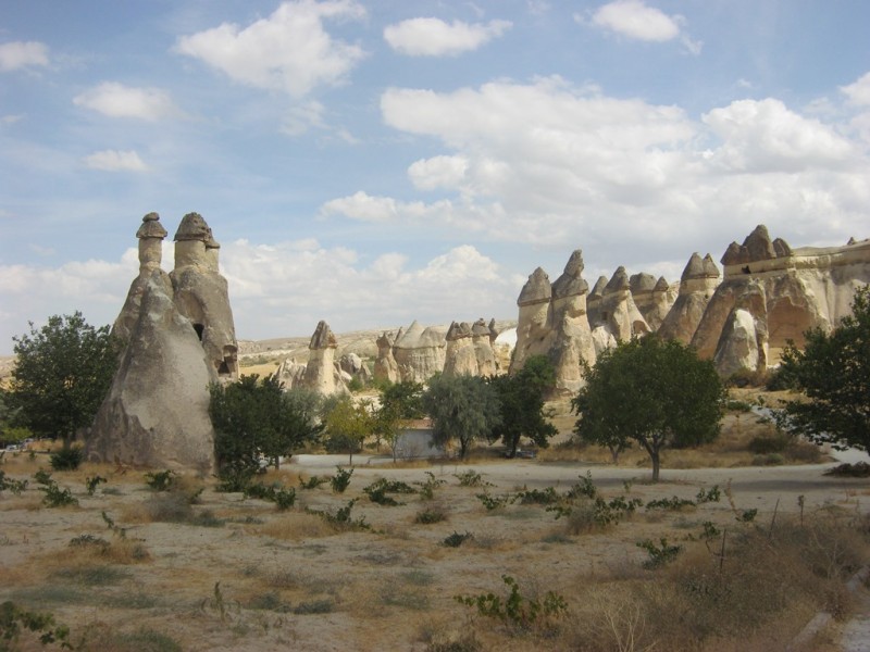 137-IMG_8218.jpg