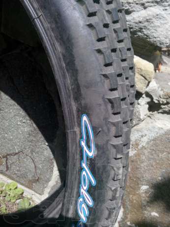 144323733_4_644x461_maxxis-holy-roller-2424-hobbi-otdyh-i-sport.jpg