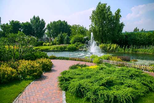 IMG_0281_500.jpg