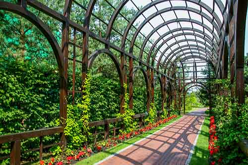 IMG_0289_500.jpg