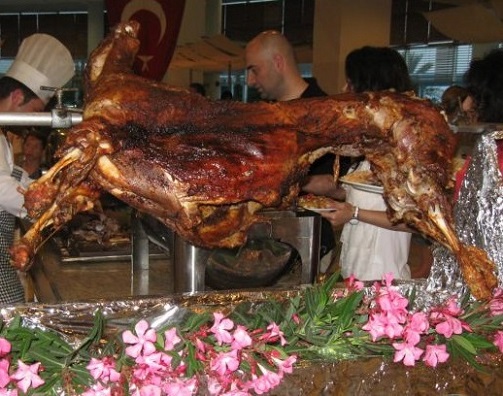 img.jpg